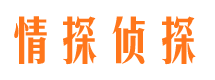 龙安情探私家侦探公司